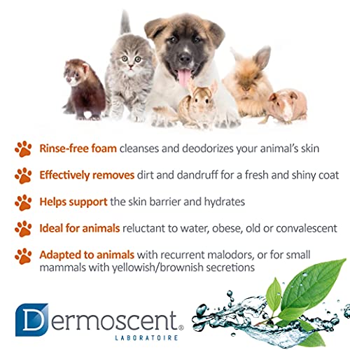 Dermoscent 920-7227 Essential Mousse para Perros 150 Ml