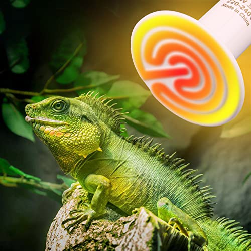 Dernord Lámpara de calor para reptiles, 100 W, lámpara de calor de tortuga, bombilla emisora de calor de cerámica, para terrario, vivarium barbudo, dragón, lagarto, cría de 220 V E27, color blanco