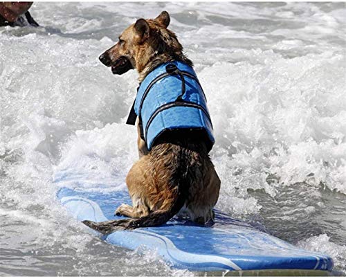 DHGTEP Traje Baño Seguridad para Perros Chalecos Salvavidas para la Piscina Playa Navegación, Chaleco de Flotación con Asa de Rescate Rayas Reflectantes (Color : Orange, Size : XL)