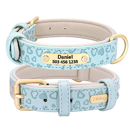 Didog Collar de Perro de Cuero Acolchado Suave y cómodo con Proceso de Repujado - Collar Personalizado para Perros y Gatos Grabado para Mascotas - Vibrante selección de 5 Colores para Todas Las Razas