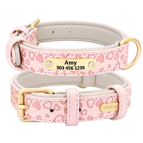 Didog Collar de Perro de Cuero Acolchado Suave y cómodo con Proceso de Repujado - Collar Personalizado para Perros y Gatos Grabado para Mascotas - Vibrante selección de 5 Colores para Todas Las Razas