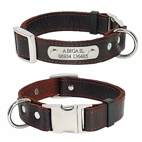 Didog Collar de perro de cuero genuino suave liso con etiqueta de identificación de placa de identificación, collares de cuero personalizados para perros pequeños y medianos