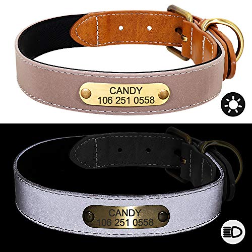 Didog Collar de perro reflectante personalizado con placa de identificación de bronce grabada – Collar de perro acolchado de neopreno suave, collares ajustables para perros pequeños medianos y grandes