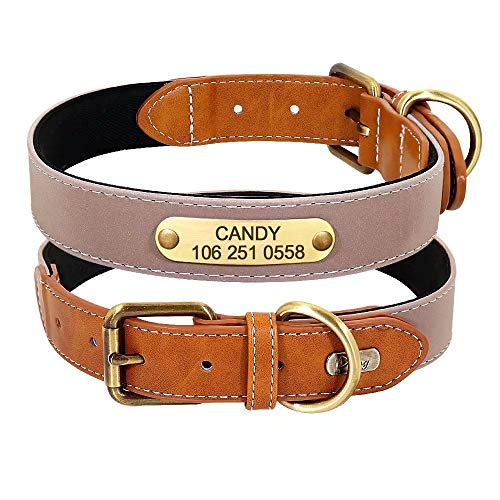 Didog Collar de perro reflectante personalizado con placa de identificación de bronce grabada – Collar de perro acolchado de neopreno suave, collares ajustables para perros pequeños medianos y grandes