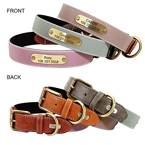 Didog Collar de perro reflectante personalizado con placa de identificación de bronce grabada – Collar de perro acolchado de neopreno suave, collares ajustables para perros pequeños medianos y grandes