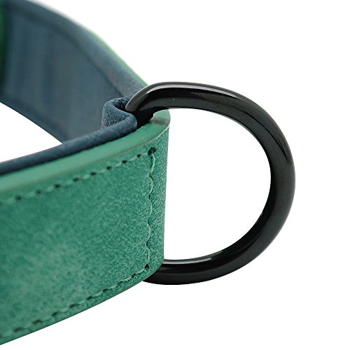 Didog - Collar de piel suave acolchada personalizable para perro, chapa de nombre, anilla en D, collar grabado para perro, tamaños pequeño, mediano y grande