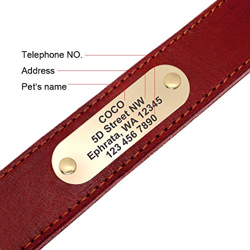 Didog - Collares para Perro de Piel auténtica con Placa de Nombre grabada, Collar de Perro de Cuero Suave Personalizado con Etiqueta de identificación Personalizada