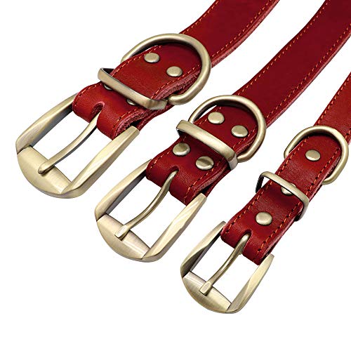 Didog - Collares para Perro de Piel auténtica con Placa de Nombre grabada, Collar de Perro de Cuero Suave Personalizado con Etiqueta de identificación Personalizada