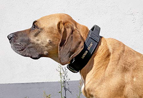 Dingo Gear Collar de Cuero para Perro Amortizado, Negro, con asa, Hecho a Mano Drago S04022