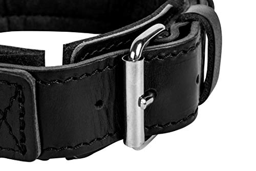 Dingo Gear Collar de Cuero para Perro Amortizado, Negro, con asa, Hecho a Mano Drago S04022