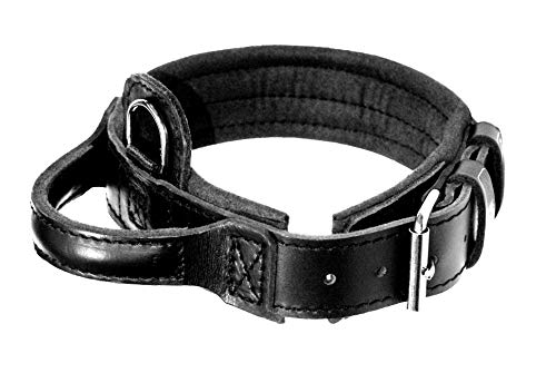 Dingo Gear Collar de Cuero para Perro Amortizado, Negro, con asa, Hecho a Mano Drago S04022