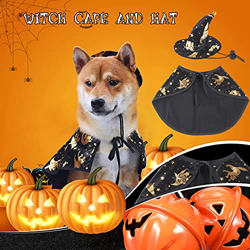 Disfraces de Halloween para gatos, disfraz de Halloween para mascotas, disfraz de bruja impreso, disfraz para gatos pequeños, Halloween, cosplay, fiesta, ropa para mascotas, decoración, L