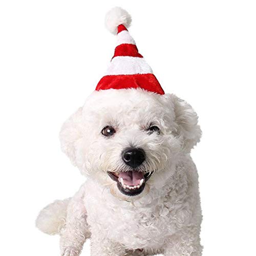 Disfraz de perro de Navidad Sombrero de Papá Noel, disfraz de Papá Noel, cachorro, gato, gatito, conejo, disfraz de conejo, cumpleaños, fiesta, cosplay, suministros talla L