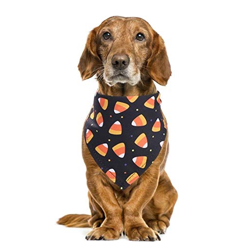 DIYHM Halloween Pet Dog Bandanas Pumpkin Brujas Patrón Patrón Perrito Cat Neckerchief Bibs Bood Tie Pet Towel Scarf Accesorios Bufanda (Color : 03)