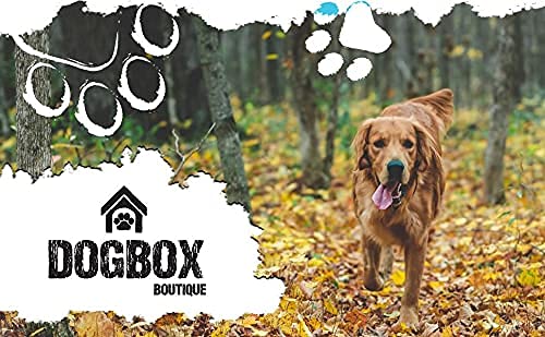 DogBox Boutique Caja de regalo para perros de verano, ideal para Navidad, cumpleaños o un regalo mensual, reventado con golosinas para perros, juguetes y accesorios | Regalo de cumpleaños para perros