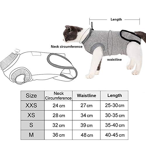 Doglemi - Traje suave de recuperación de cirugía, heridas y enfermedades de la piel en interiores con cuello en E y hebilla elástica para gatos y perros