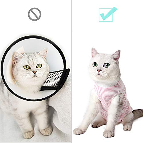 Dotoner Traje de recuperación Profesional para Gatos, Gata Camiseta de recuperación quirúrgica para heridas Abdominales Vendas Cono Cuello en Forma Alternativo(Rosa,l)