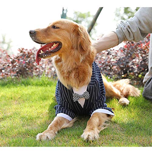 DQY Traje Perro Vestido Rayado otoño e Invierno Samoyedo Labrador Golden Retriever Ropa for Perros Mediana Grande Traje del Animal doméstico del Perro Chaqueta De Perro (tamaño : S(2.5KG))