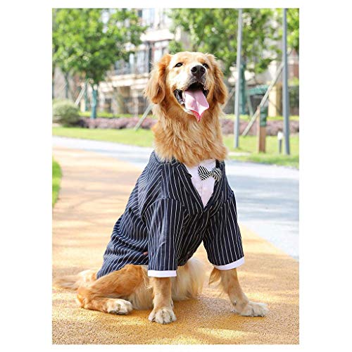 DQY Traje Perro Vestido Rayado otoño e Invierno Samoyedo Labrador Golden Retriever Ropa for Perros Mediana Grande Traje del Animal doméstico del Perro Chaqueta De Perro (tamaño : S(2.5KG))