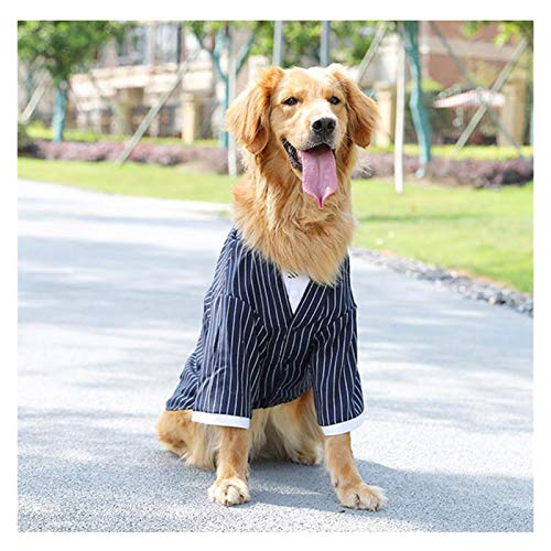 DQY Traje Perro Vestido Rayado otoño e Invierno Samoyedo Labrador Golden Retriever Ropa for Perros Mediana Grande Traje del Animal doméstico del Perro Chaqueta De Perro (tamaño : S(2.5KG))