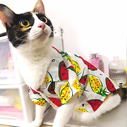 dragonaur-home decor Ropa para mascotas adorable perros gatos camiseta de algodón fácil de llevar, compatible con al aire libre L