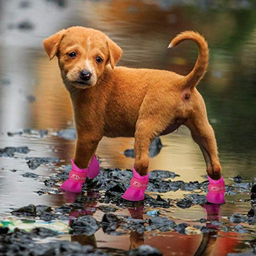 Ducomi Zampette - Zapatillas Impermeables para Perros - Cómodas y Fáciles de Poner - Protegen Las Patas de tu Mascota - Reducen el Riesgo de Infecciones en Caso de Heridas (L, Rojo)