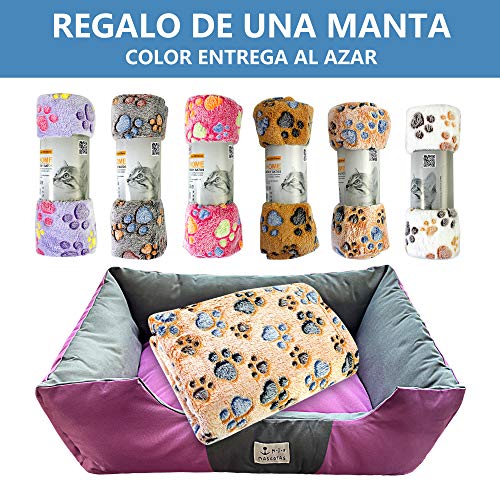 DZL- Cama de Perros y Mascotas Básica Desmontable y Extraíble Regalo Manta Perro Camas para Perros Gatos Alfombra para Mascotas (XXL-82 * 102 * 25CM, Morado)