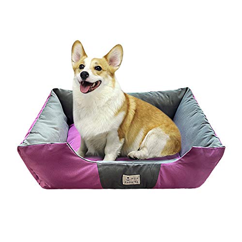 DZL- Cama de Perros y Mascotas Básica Desmontable y Extraíble Regalo Manta Perro Camas para Perros Gatos Alfombra para Mascotas (XXL-82 * 102 * 25CM, Morado)