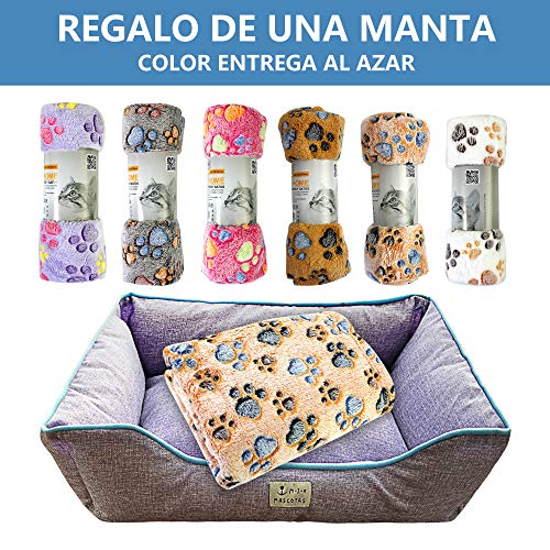 DZL- Cama de Perros y Mascotas Básica Desmontable y Extraíble Regalo Manta Perro Camas para Perros Gatos Alfombra para Mascotas(XL-72 * 92 * 22CM, Morado)