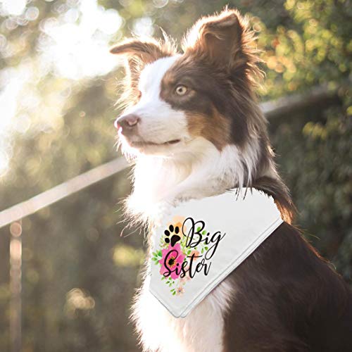 easycozy - Pañuelo para perro con motivo de embarazo, diseño de género, accesorio para decoración de bufandas para mascotas, bufandas para mascotas