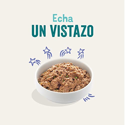 Edgard & Cooper Pienso para Perros Adultos Comida Humeda Natural 11x150g Ternera y Pato Fresco, Alimento Sano, Sabroso y Equilibrados