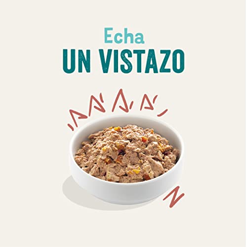 Edgard & Cooper Pienso para Perros Senior Mayores Comida Humeda Natural 11x150g Pollo y Salmón Fresco, Alimento Sano, Sabroso y Equilibrados