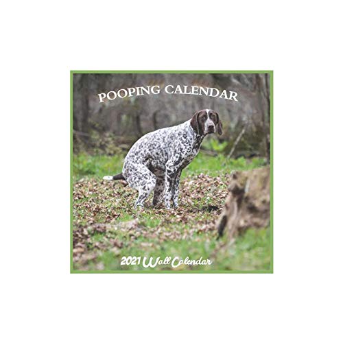 Emeinkei Calendario 2021 para Perros Caca, Calendario de Pared para Perros Caca 2021 para Elefante Blanco,Multicolor-132