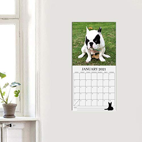 Emeinkei Calendario 2021 para Perros Caca, Calendario de Pared para Perros Caca 2021 para Elefante Blanco,Multicolor-132