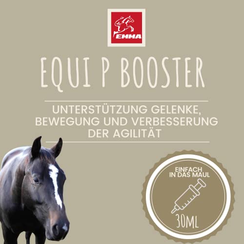 EMMA ⭐ Equi P Booster Horses, MSM, Corteza de Sauce, Sistema musculoesquelético y articulaciones, ligamentos tendinosos, cartílago, Agilidad para Personas Mayores 1 pc.