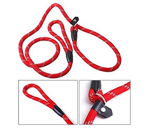 ericotry 1 correa ajustable de nailon para perro de 1,2 m, color rojo, correa de entrenamiento y collar