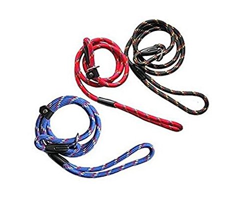 ericotry 1 correa ajustable de nailon para perro de 1,2 m, color rojo, correa de entrenamiento y collar