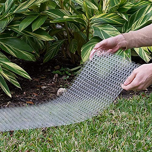 Esterilla para Gato, 6Pcs Valla de Pared para Interiores/Exteriores, Repelente de Pinchos para Perros y Gatos, disuade a Las Mascotas y la Vida Silvestre de excavar, Protege Las Plantas en Jardines