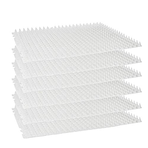 Esterilla para Gato, 6Pcs Valla de Pared para Interiores/Exteriores, Repelente de Pinchos para Perros y Gatos, disuade a Las Mascotas y la Vida Silvestre de excavar, Protege Las Plantas en Jardines