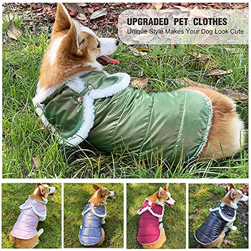 Etechydra Chaqueta de Perro Impermeable, Acabado Nacarado Reflectante Abrigo para Perro, Chaleco Felpa Abrigo Chaqueta de Mascotas Perro y Gato Invierno Ropa Verde XS