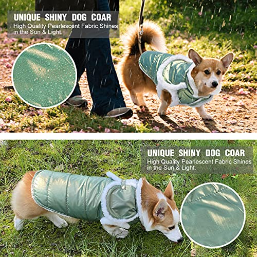 Etechydra Chaqueta de Perro Impermeable, Acabado Nacarado Reflectante Abrigo para Perro, Chaleco Felpa Abrigo Chaqueta de Mascotas Perro y Gato Invierno Ropa Verde XS