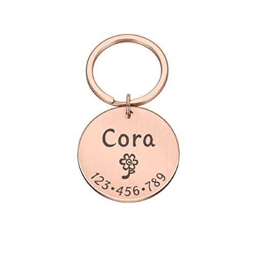 Etiqueta de identificación personalizada para perros y gatos, grabado gratis para collar de perrito, colgante para mascotas, gatito, cachorro, etiquetas de identificación, collar, accesorio par