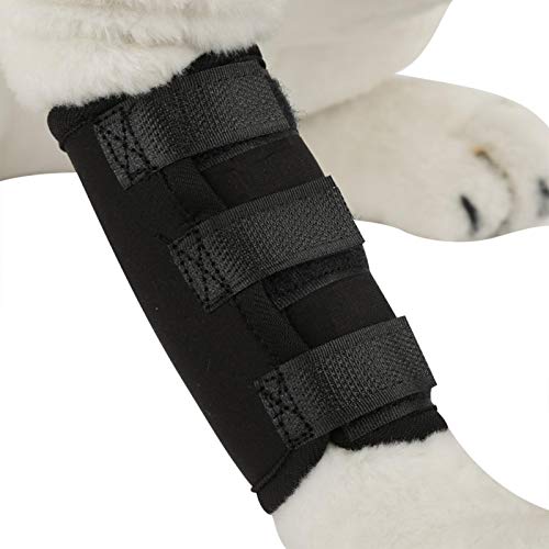 Eulbevoli A Prueba de Golpes, Aislamiento, flexibilidad, Protector de piernas para Perros, férula para Perros para Curar el Dolor causado por Lesiones o(Black, M Code)