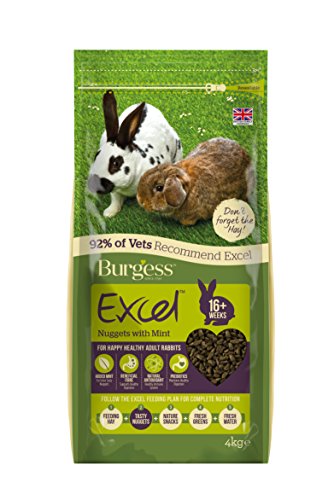 Excel Burgess Silla de Paseo con Menta para Adultos (10 kg)