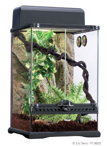 EXO TERRA Kit Habitat Tropical Pequeño de 40.5 L, 30 x 30 cm