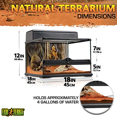 EXO TERRA Terrario Pequeño Low de 60 L, 45 x 45 x 30 cm