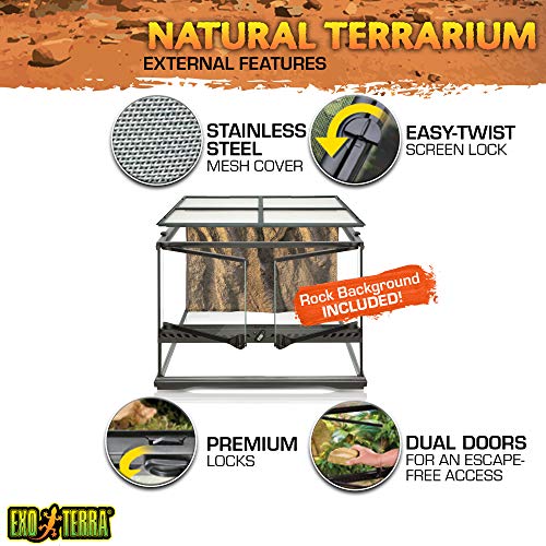 EXO TERRA Terrario Pequeño Low de 60 L, 45 x 45 x 30 cm