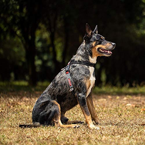 EzyDog Arnés antitirones para perros – Arnés para perros pequeños, medianos y grandes, accesorio para entrenamiento de perros, reflectante, tamaño ajustable (L, marrón)