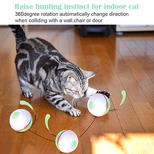 Fairwin Juguetes para Gatos Pelotas, Bolas de Gato Juguete interactivas para Gatos con Luces LED y Juguetes con Hierba Gatera para Gatos de Interior, Rotación Automática de 360 ​​Grados y Carga USB