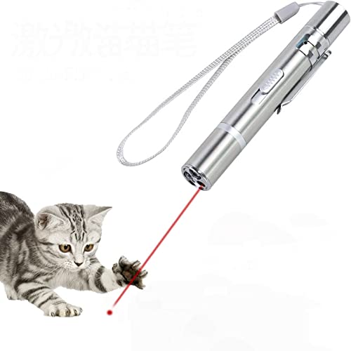 Famkrw Puntero LED Gatos Perro Mascota Interactivo con USB Recargable, Mini Linterna Multifuncional Portátil De 2 Piezas, Juguetes Ligeros, Regalos para Mascotas